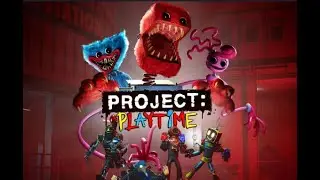 gram w projekt playtime