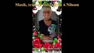 Britt A Nilsson - Tänk vad vi har mycket att vara tacksamma för