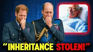 Prince William & Harry's Inheritance Revealed Amid King's Health Crisis