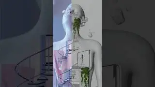 Before/after #blender3d #nftartist #surrealism #nftartist #3danimation