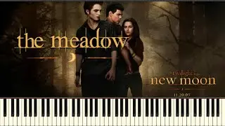 The Meadow 