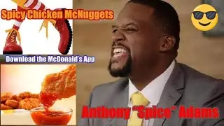 McDonald&rsquo;s USA Spicesurance Fine Print - Spicy Chicken McNuggets