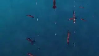 Pesca de Calamar