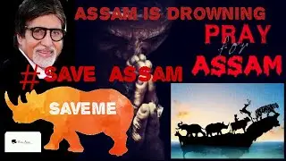 Assam is DROWNING // ASSAM NEED HELP// SAVE ASSAM