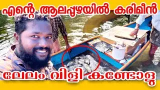 എന്റെ ആലപ്പുഴയിലെ പിടക്കണ കരിമീൻ ലേലം വിളി | Village Fish Market || Alappuzha | Kerala