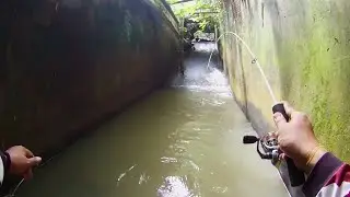 Umpan Terbukti Ampuh ! Mancing Ikan Di Selokan Dan Sungai Pesta Strike Tanpa Henti.