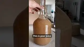 What is Perry? #howto #recipe #diy #homemade