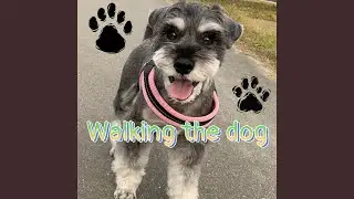 Dancing Paws and Gentle Steps
