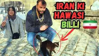 Iran ke Ice Mountains mai full masti wali picnic | #iran #iranian