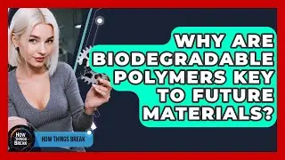Why Are Biodegradable Polymers Key To Future Materials? - How Things Break