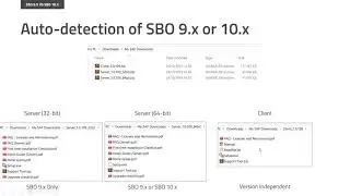 SAP Business One 10 Upgrade Guide for CRM for Outlook
