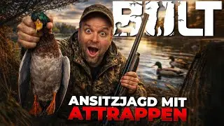 Ansitzjagd in BULT: Mit Tarnzelt, Lockenten und Callern bei Sonnenaufgang auf ENTENJAGD 🦆