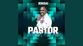 Rindai