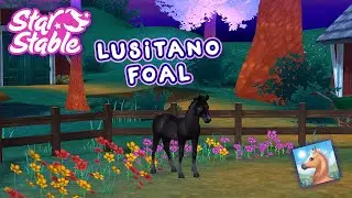 Dapple Grey Lusitano Foal [Star Stable Horses App]