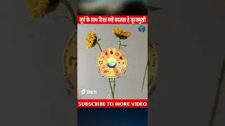 यह फूल ऐसा क्यों करता है ? Mind Blowing Amazing Flower Facts #shorts #ytshortsindia