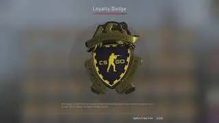 CSGO Loyalty Badge