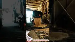 Best innovative dump truck unloading grain with floor system