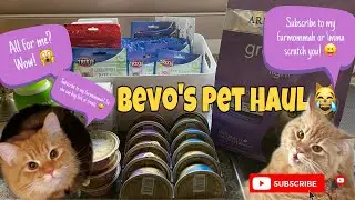 PET HAUL | PET SUPPLIES | What we bought for our pet 😻😺😸
