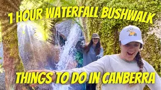 Things to do in Canberra - Canberra Bushwalking - Tidbinbilla Cascades 1 hour walk