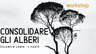 Alberi: cablaggio / consolidamenti - Valentin Lobis workshop - 1 parte