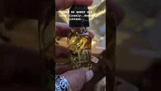 POWER UP MONEY OIL #FOLKLOREMAGICK #MEENAKSHII #youtubeshorts #ytshorts #youtube