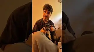 Die kleinen haben endlich Namen bekommen 🖤