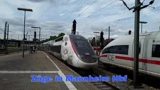 Züge in Mannheim Hbf