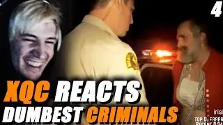 XQC REACTS TO AMERICA'S DUMBEST CRIMINALS with Chat  | Episode 4