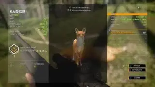 theHunter: Call of the Wild Renard or &agrave; la carabine &agrave; air comprim&eacute;