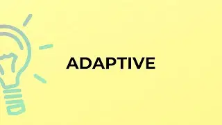 What is the meaning of the word ADAPTIVE?