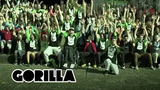 Deingorilla.de Entdecke die Welt des Freestylesports