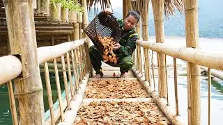 Planting A Survival Garden And Fishing To Sustain A Solitary Forest Life