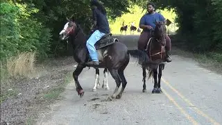 Arkansas Trail Riders in Tollette 2021