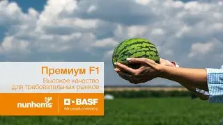 Премиум F1 - высокое качество для требовательных рынков!