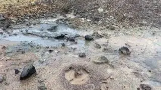 Boiling muds and waters at Krysuv&iacute;k, Iceland
