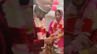 Hamari Shadi #shorts #shortsvideo #viral #sabaahmadfamilyvlogs
