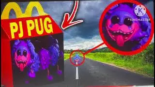 Do Not Order CANDY CAT AND PJ PUG-A-PILLAR HAPPY MEALS From POPPY PLAYTIME CHAPTER 2 AT 3AM! *OMG*