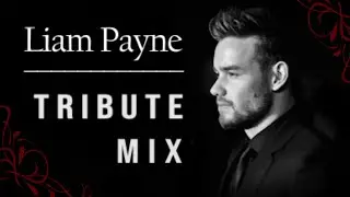 Best of One Direction Mashup Mix | Liam Payne Tribute