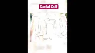 class 12th  Chemistry ⚗️ Danial Cell viva Chart