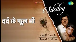 दर्द के फूल भी | Silsilay - Jagjit Singh Javed Akhtar | Jagjit Singh Songs |