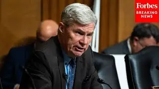'Fossil Fuel-Funded Fertile Swamp Of Republican Fever Dreams:' Sheldon Whitehouse Rips GOP & Big Oil