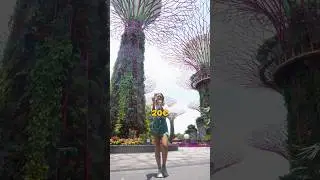 C&oacute;mo viajar a SINGAPUR BARATO 🇸🇬