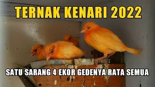 TAHUN 2022 SEMANGAT BERKENARI