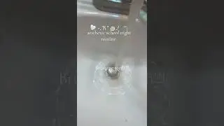 night routine !! #essa #cat #cuteanimal #essacommunity #aestheticvideo #night