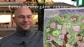 Välkommen till Rinnebäcksskolan