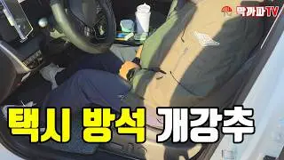 택시 방석 개강추 엉덩이가 행복해 한다 / 막까파TV