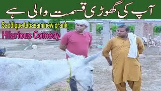 hilarious comedy by saddique tabasam & gergila | funny video | horse prank | #saddiquetabasam #2024