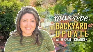 Why Small Outdoor Changes Matter More Than Big Projects