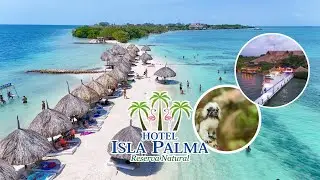 The Best Beach Hotel in Colombia &ndash; Isla Palma Natural Reserve