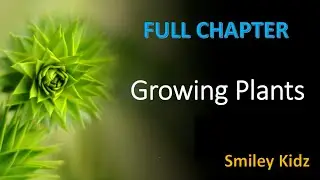 Growing Plants | Growing Plants full chapter | Class 5 science | @SmileyKidz5 |